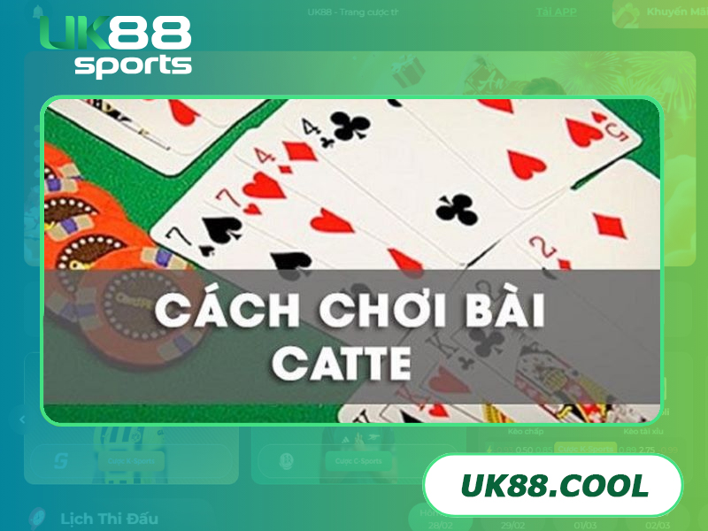 Cách chưng bài Catte