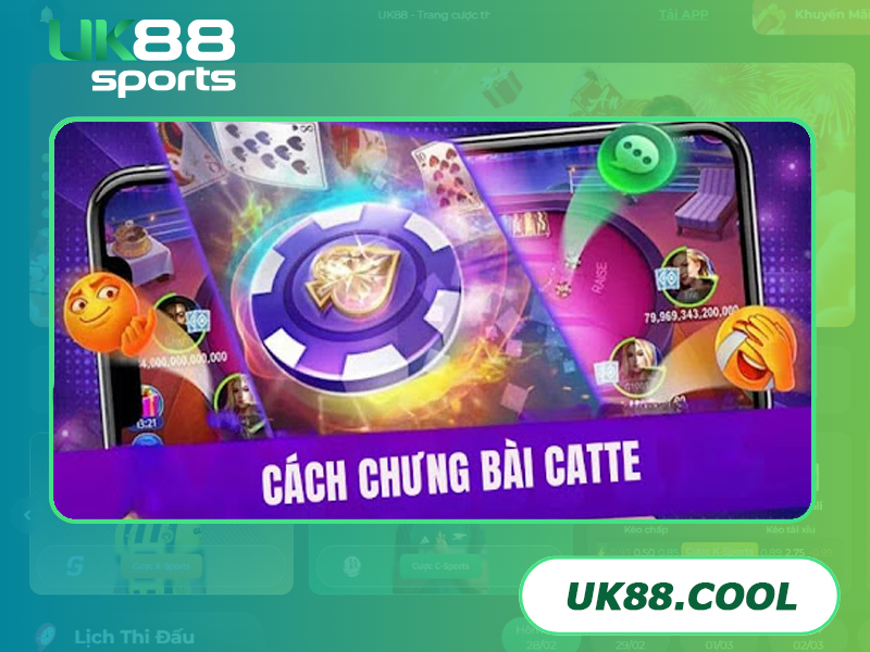 Cách chưng bài Catte