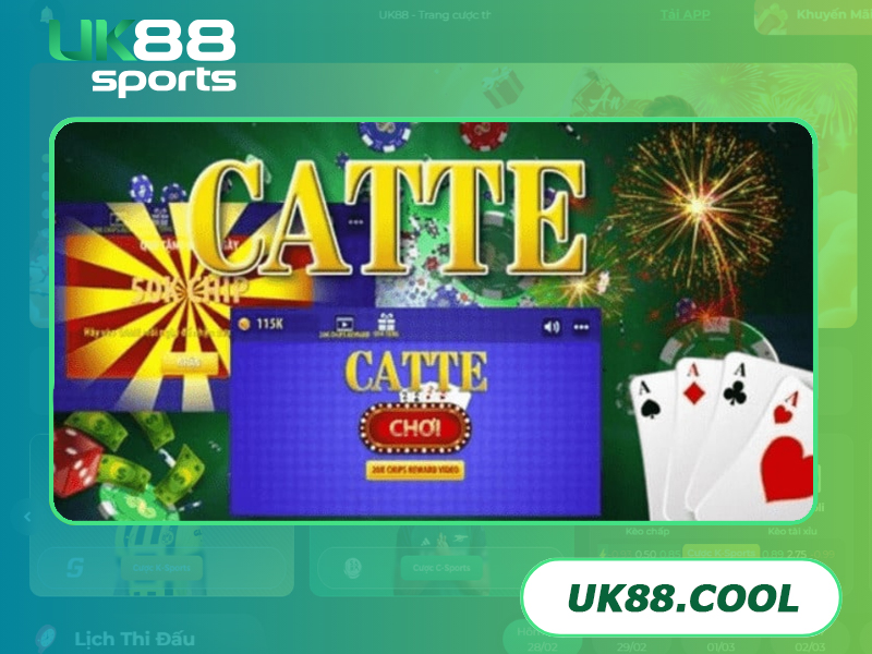 Cách chưng bài Catte